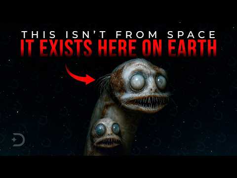 The Strangest Extinct Creatures Ever Discovered by Scientists