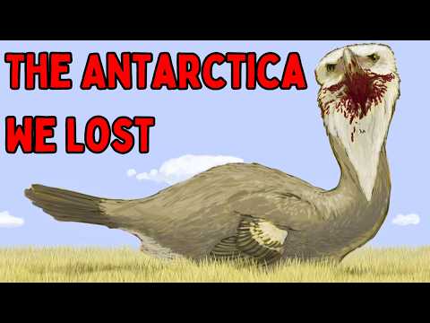 Antarctica Before It Froze