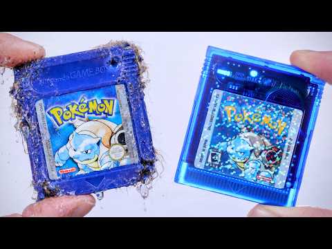I Saved & Upgraded a Pokémon Blue Chewed by a Dog