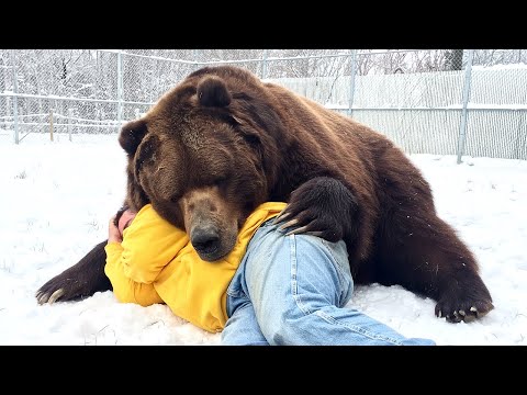 Dangerous Animals Caught Being Friendly
