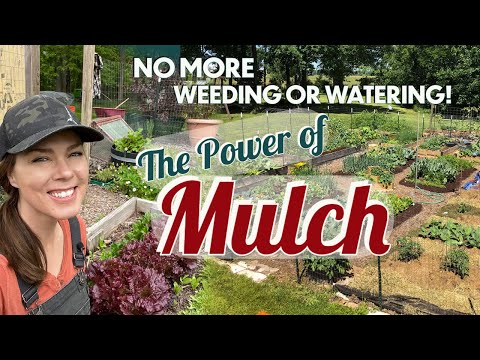 Why to Mulch and Best Natural Mulches