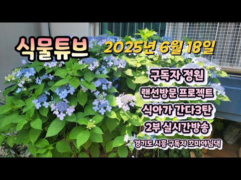 아파트 화단을 이렇게 까지 꾸몄다고??? 아파트 화단인지 공원인지~ (구독자 꼬미야님 댁 아파트 화단) #식물튜브 #식아가간다 #아파트화단 #경기도 시흥