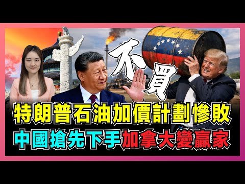 特朗普石油加價計劃慘敗,中國搶先下手,加拿大變贏家?|委內瑞拉石油無人接手,中國戰略儲備讓美國石油夢碎?【屈姬主播 EP352】
