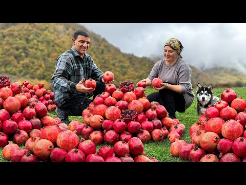 Pomegranate Jam and Fried Fish in the Mountains! The Variety Of Tastes Of Nature