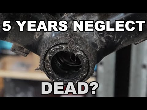 Neglected Trek MTB Restoration: Fork Service, Drivetrain Fix & Brake Rescue