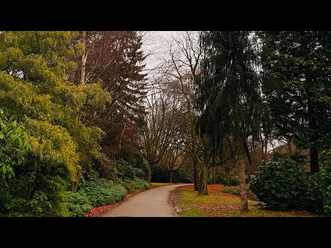 Ruhiger Spaziergang am See – Stille & Entspannung