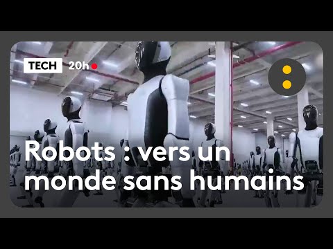 Robots: Towards a world without humans
