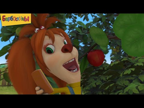 Барбоскины | Выпуск 16 | Короткий сборник мультиков для детей