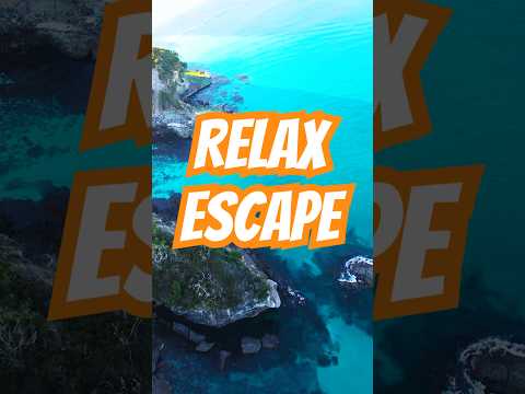 🌊 Relax & Escape | Summer Vibes Tropical Deep House 2025 #shorts #tropicalhouse #deephouse