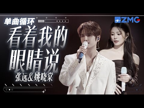 1h 单曲循环🎵张远姚晓棠《看着我的眼睛说》 「 再看着我的眼睛说 你一点都不难过 」 #天赐的声音6 20250603