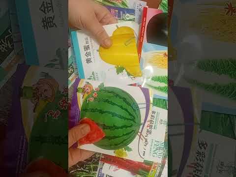 Мое мнение о Китайских семенах.