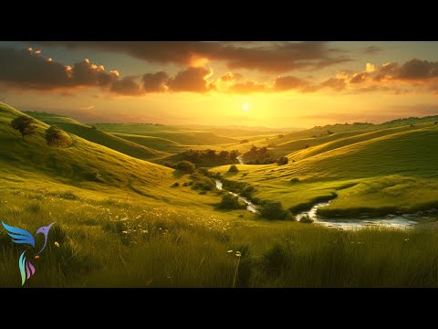 Música Relajante Para la Curación y el Sueño Profundo: Calma Mental Instantánea, Alivio Del Estrés..