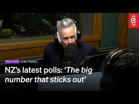'The big number that sticks out' in NZ's latest political polls | The Panel