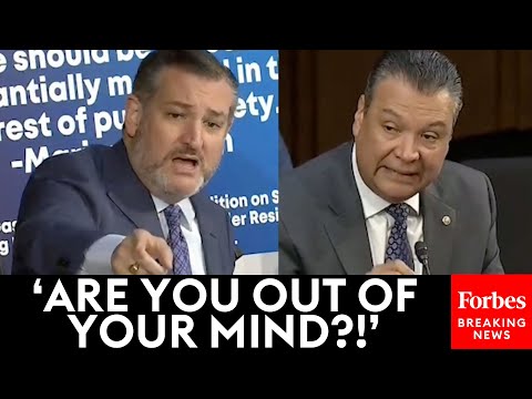 JUST IN: Ted Cruz Openly Explodes On His Dem Colleagues For Biden's 'So Amazingly Unqualified' Noms