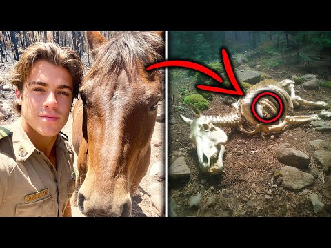 A Young Ranger Vanished In Yosemite — Four Years Later They Found The Remains Of His Horse