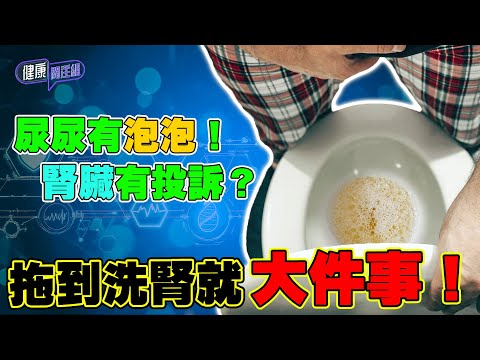 尿尿有泡泡!腎臟有投訴?拖到洗腎就大件事! |健康關注組| EP273| 蛋白尿 | 吳雲甫 | 朱智賢 | HOY TV 77台