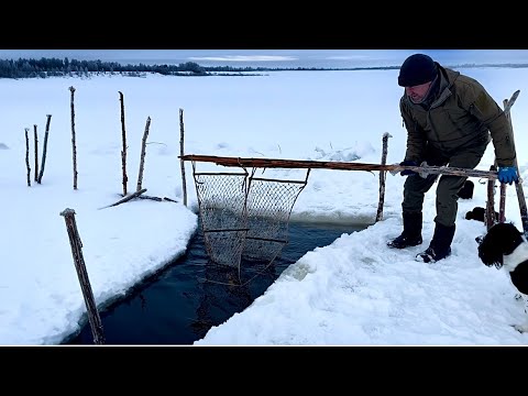 Рыбалка фитилями. Такую Рыбу еще не ловил.