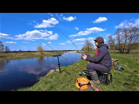 Pure Nature, River and Fish Biting. Fishing in Ukraine