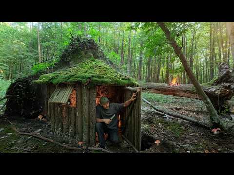 A cozy log cabin for survival under an upturned root. Bushcraft, Dugout, Catch and Cook