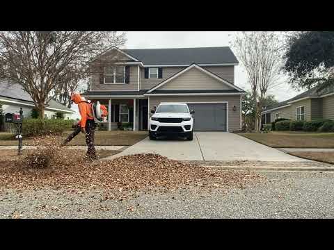 Major Leaf Cleanup | A Lawncare Business | Father and Son