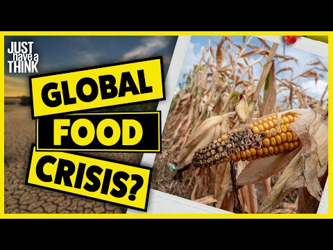 We need to talk about your starving grandchildren.