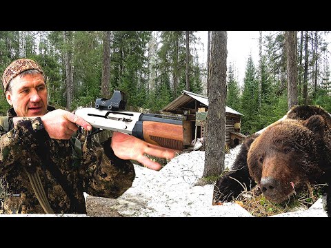 The bear came to the hut. Bear hunt.