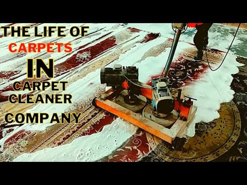 The Life Of Carpet In Carpet Cleaner Company || AMAZING Way To SUPER CLEAN