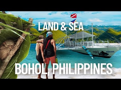 We Found Bohol’s Best Kept Secret: Scuba, Wildlife & Culture!