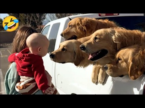 Funny animals videos of Cats🐈 and Dogs🐕2025 #3 | Try Not To Laugh 😂