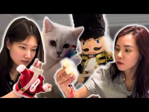 Сувдаанаа Тасо 🐱 Хоёр Уулзав ккк