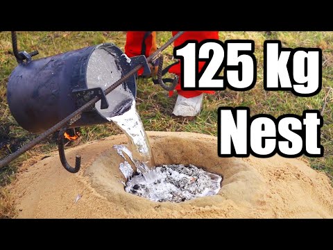 EXPLOSIONS while casting 250 kg of ant nests! Triple bull ant nest casting (80, 125 and 45 kg) Day 1