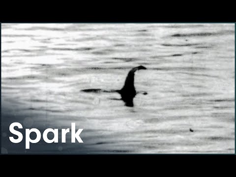 Is It Scientifically Possible For The Loch Ness Monster To Exist?