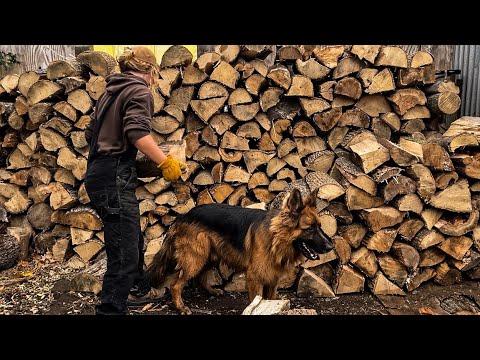 Firewood And Some More Firewood