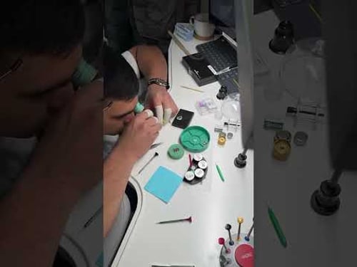 New Year, New Start: A Rolex 2235 Gets Fully Serviced✨ #chrono24 #rolex #watchmaking