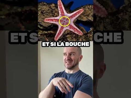 Je n'avais jamais pensé à ça 😲 #drôle #humour #shorts