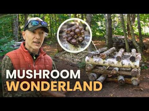 He Quit His Job to Start a Mushroom Farm 10+ Years Ago (And Hasn’t Turned Back Since)