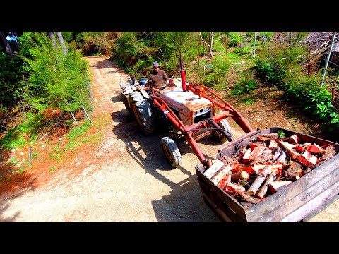 Worthless to Workhorse- David Brown Tractor gets Long Overdue Service/ Repairs then back to work..