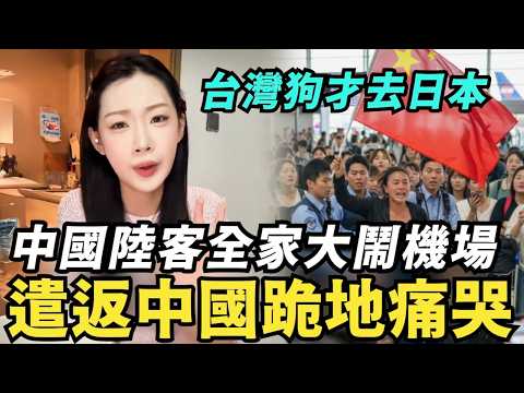再鬧就遣返中國!舔共陸客全家對戰日本人,不爽低消大鬧機場,中國留學生不捨離開台灣,大讚台灣人好文明,搭車結帳不插隊