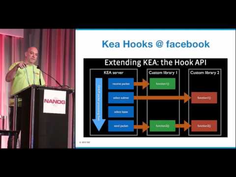 Utilizing Kea hook points for modern IP addressing