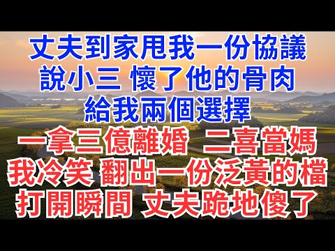 丈夫到家甩我一份協議,說,小三懷了他的骨肉給我兩個選擇,一拿三億離婚,二喜當媽,我冷笑,翻出一份泛黃的檔,打開瞬間,丈夫直接跪地傻了!#情感故事#故事#小說#戀愛#情感#婚姻