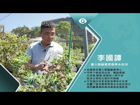 台灣新眼界.文化新台灣|李國譚 拍開臺灣藍莓新藍海 20230731