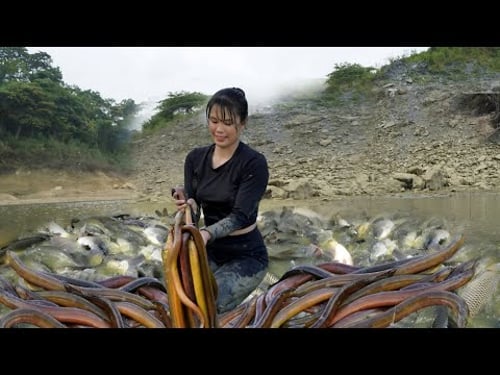 How to harvest 20kg of field eels and lake fish by hand from an 18-year-old single girl
