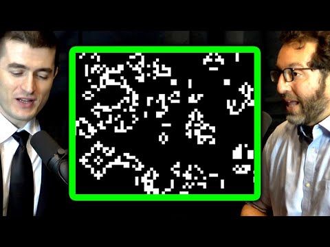 John Conway's Game of Life | Jordan Ellenberg and Lex Fridman