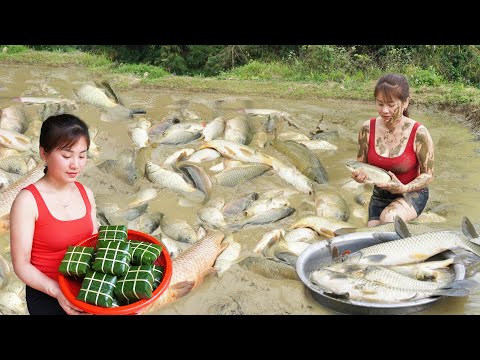 How To Wrap BANH CHUNG Beautifully - Drain The Pond To Catch Many Carp, Harvest Plum, Cooking