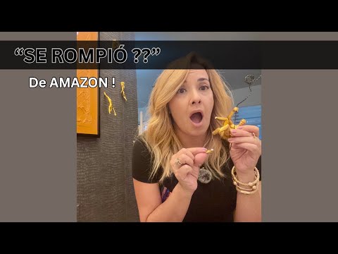 SE ROMPIÓ ! y es de AMAZON !