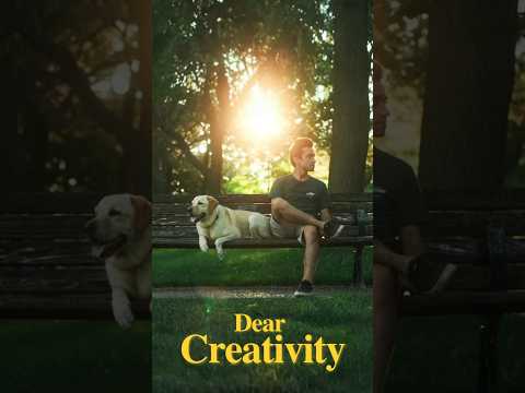 If creativity isn't there for you; you just have to go out and find it. 🎬💡🐶 #shortfilm #doglover