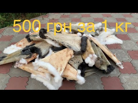 Шкірка кролика, що я з нею роблю і куди здаю