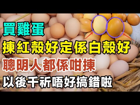 買雞蛋嗰陣,到底揀紅殼好定係白殼好,邊種更加有營養?聰明人都係咁揀,以後千祈唔好搞錯啦! #健康你要知 #養生唔好中伏 #食物真相揭秘 #廚房智慧 #飲食要清淡 #食得健康 #你唔知的營養知識