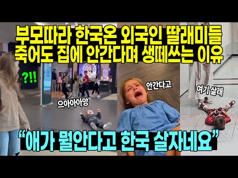 부모따라 한국온 외국인 딸래미들 죽어도 집에 안간다며 생떼쓰는 이유 “애가 뭘안다고 한국 살자네요”