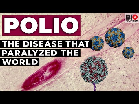 Polio: The Disease that Paralyzed the World